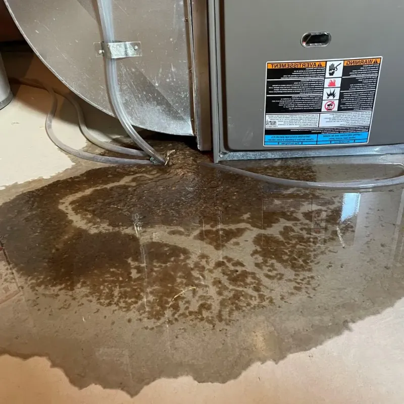 Pipe Burst and Leak Restoration in Albuquerque, NM